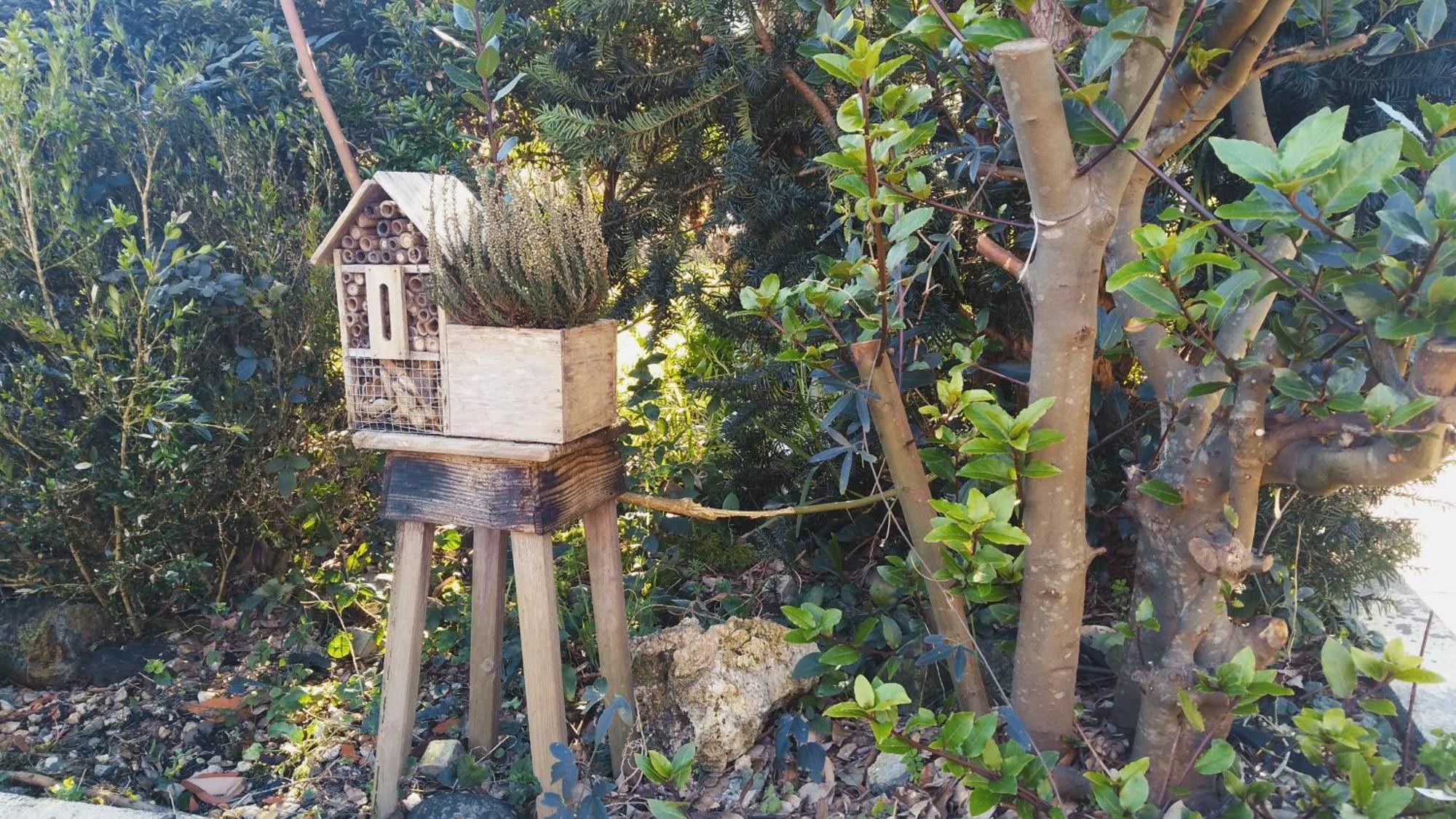 Casa Iriana - Parking Gratis I Jardin I Barbacoa Villa Orense Kültér fotó